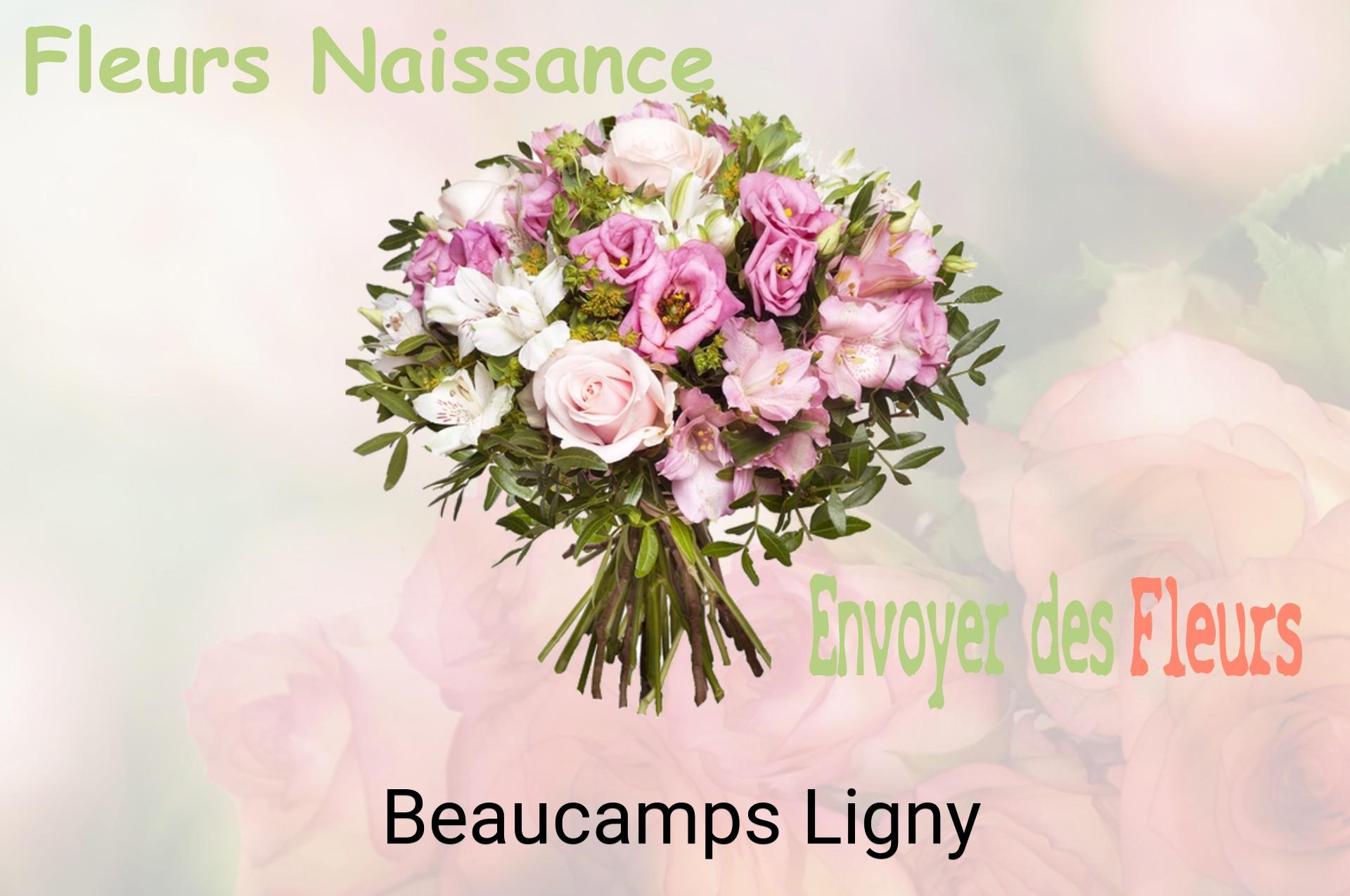 Bouquet de fleurs de naissance livré à Beaucamps-Ligny