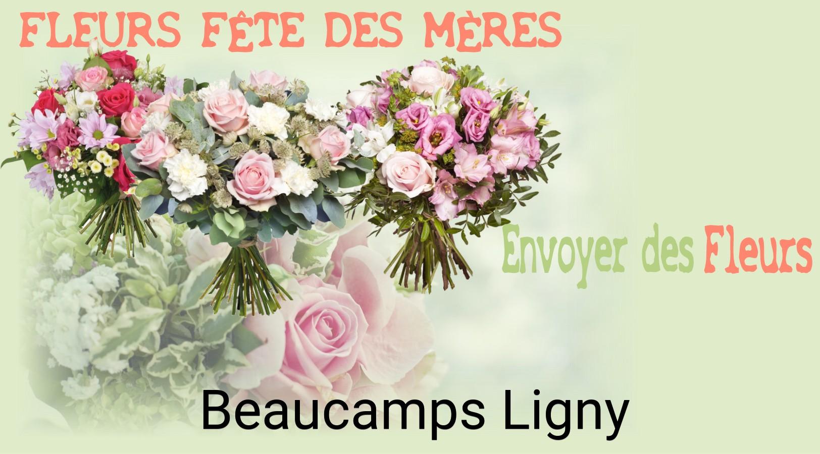 Bouquet de Fête des Mères livré à Beaucamps-Ligny